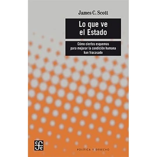 LO QUE VE EL ESTADO. COMO CIERTOS ESQUEMAS PARA MEJORAR LA CONDICIÓN1