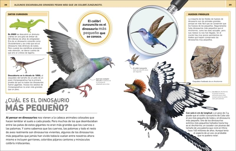 ¡INCREÍBLE PERO CIERTO! DINOSAURIOS5