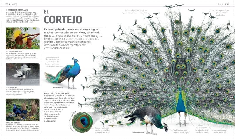 SECRETOS DE LA NATURALEZA1