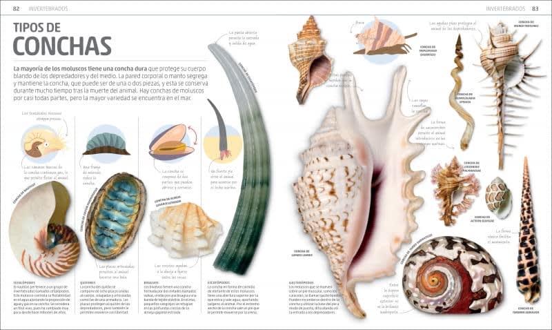SECRETOS DE LA NATURALEZA3