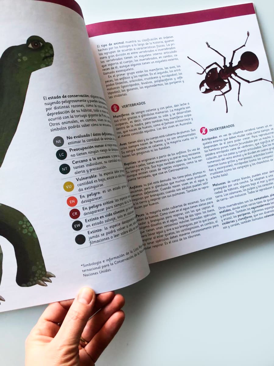 ANIMALES AMERICANOS6