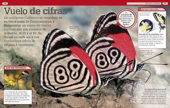 ¡NO TE LO VAS A CREER! UN MUNDO LLENO DE SORPRESAS FASCINANTES1