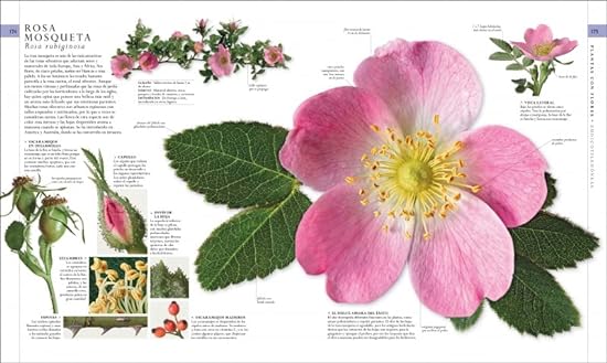 EL LIBRO DE LA NATURALEZA: ENCICLOPEDIA DEL MUNDO NATURAL EN IMÁGENES1