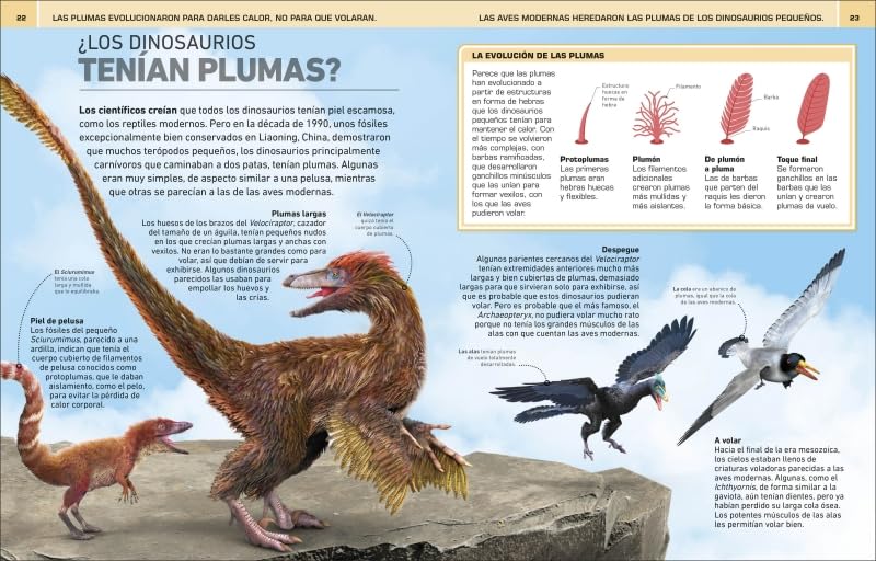¡INCREÍBLE PERO CIERTO! DINOSAURIOS4