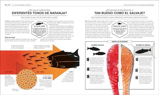 COCINOLOGÍA: LA CIENCIA DE COCINAR4