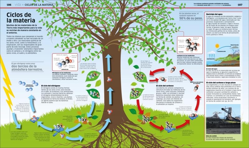 CIENCIA. LA CIENCIA COMO NUNCA ANTES LA HABÍAS VISTO1