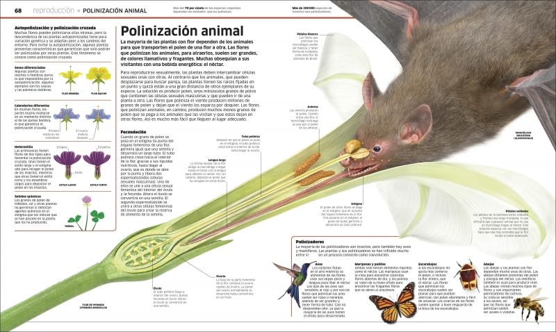 PLANTAS Y HONGOS: EL REINO VEGETAL COMO NUNCA ANTES LO HABÍAS VISTO2