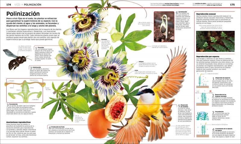 CIENCIA. LA CIENCIA COMO NUNCA ANTES LA HABÍAS VISTO2