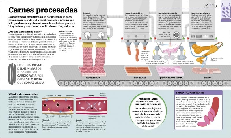 CÓMO FUNCIONA LA ALIMENTACIÓN. GUÍA GRÁFICA DE LA NUTRICIÓN2