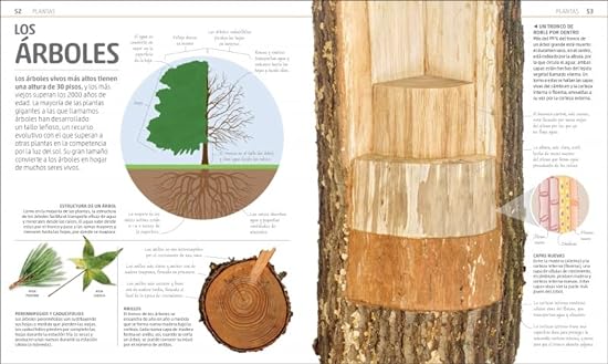 SECRETOS DE LA NATURALEZA4