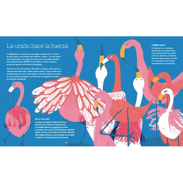 AMOR ANIMAL. UNA LOCA CONQUISTA3