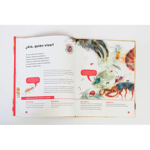 BAJO TIERRA. EL MUNDO SUBTERRÁNEO QUE NOS DA LA VIDA3