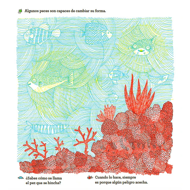 ¿QUÉ SE ESCONDE DENTRO DEL MAR?4