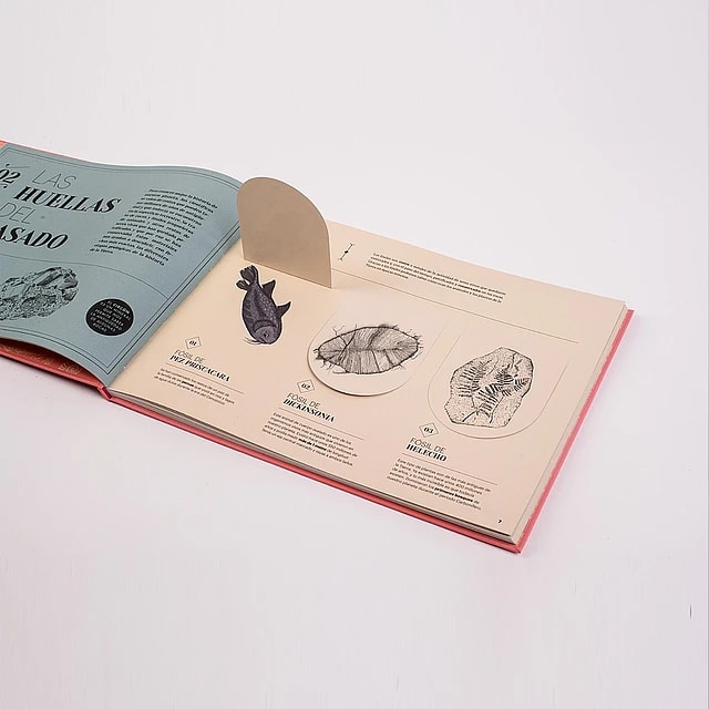 PAISAJES PERDIDOS DE LA TIERRA3