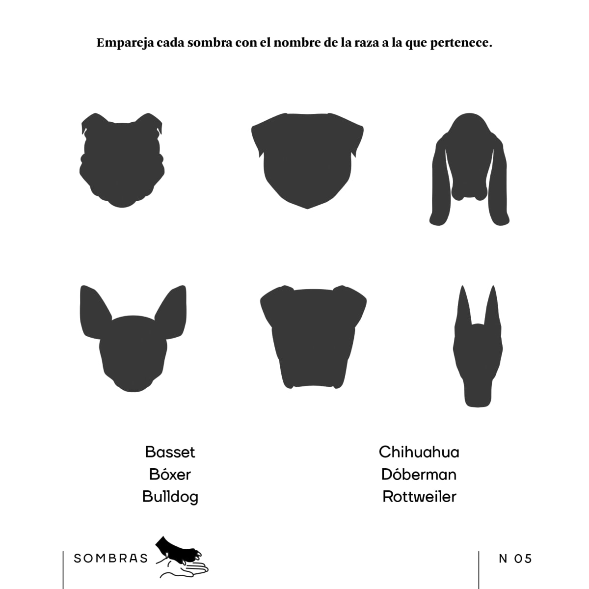 PASATIEMPOS PARA LOS AMANTES DE LOS PERROS2