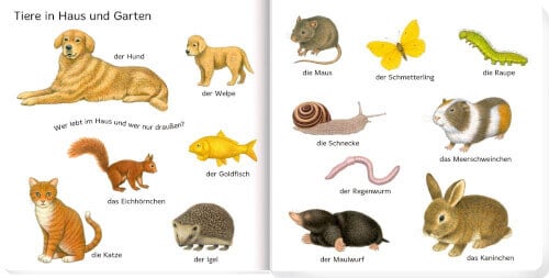 BILDER SUCHEN WÖRTER FINDEN: 100 ERSTE TIERE3