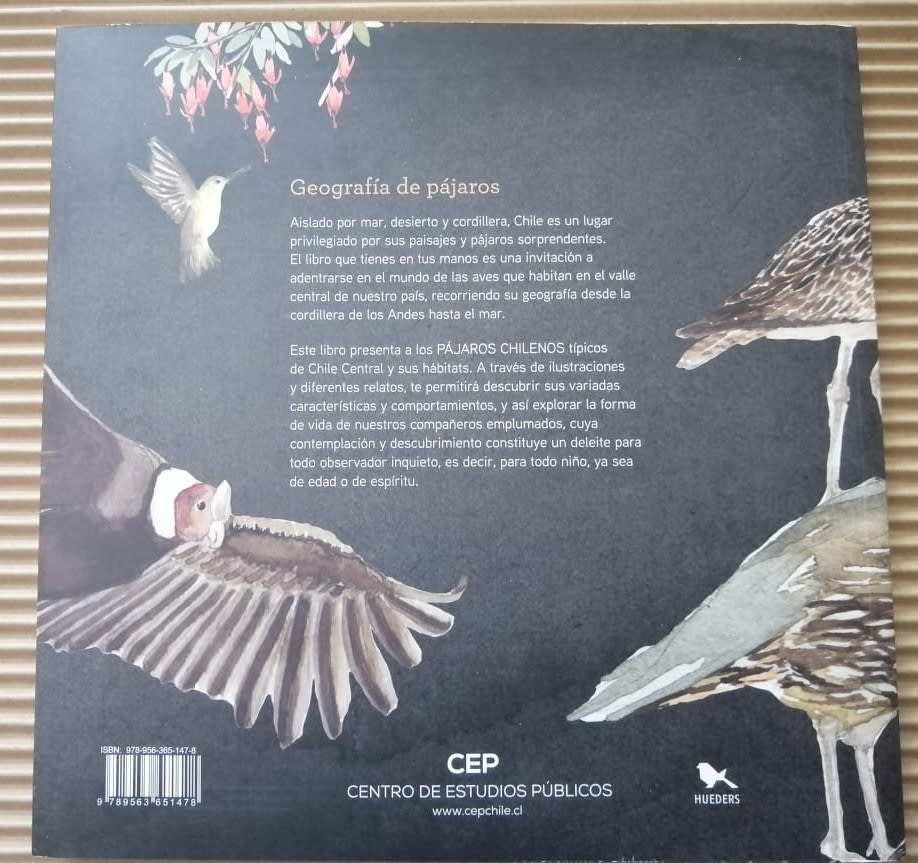 GEOGRAFÍA DE PÁJAROS: CHILE CENTRAL4