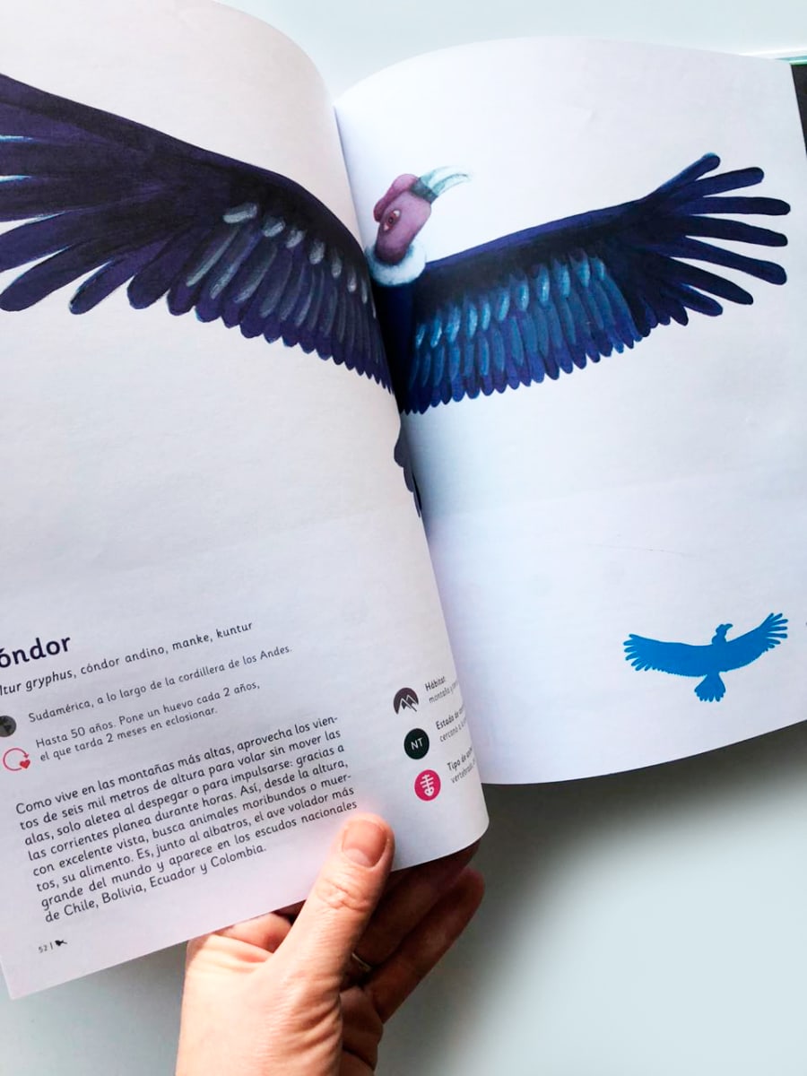 ANIMALES AMERICANOS2