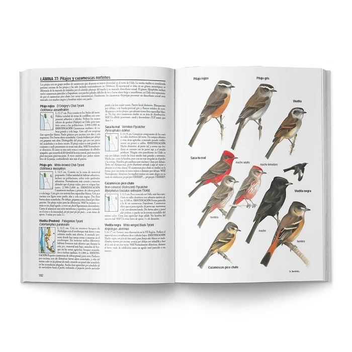 Aves de Chile2