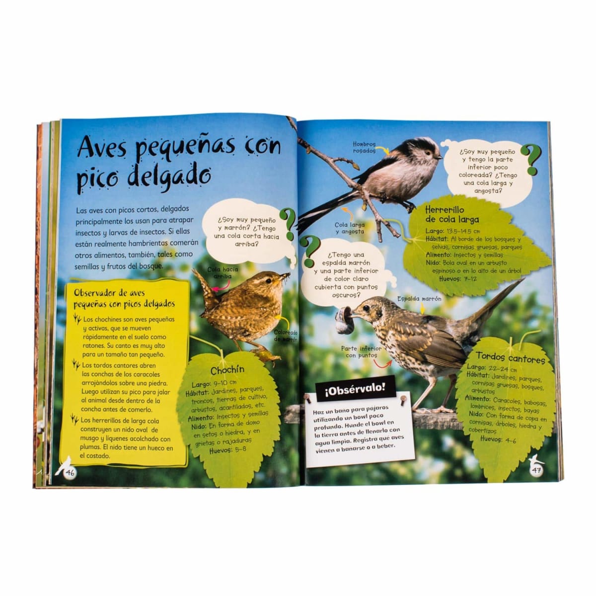 OBSERVA LA VIDA SILVESTRE2