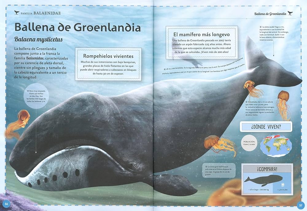 EL MAGNIFICO LIBRO DE LAS BALLENAS2