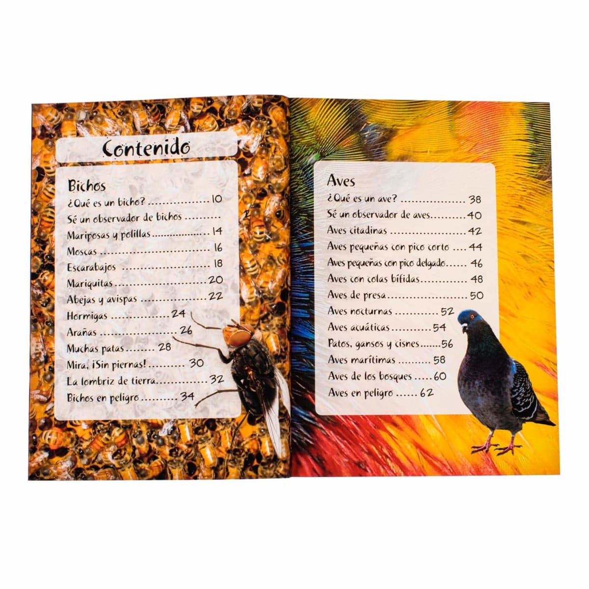 OBSERVA LA VIDA SILVESTRE4