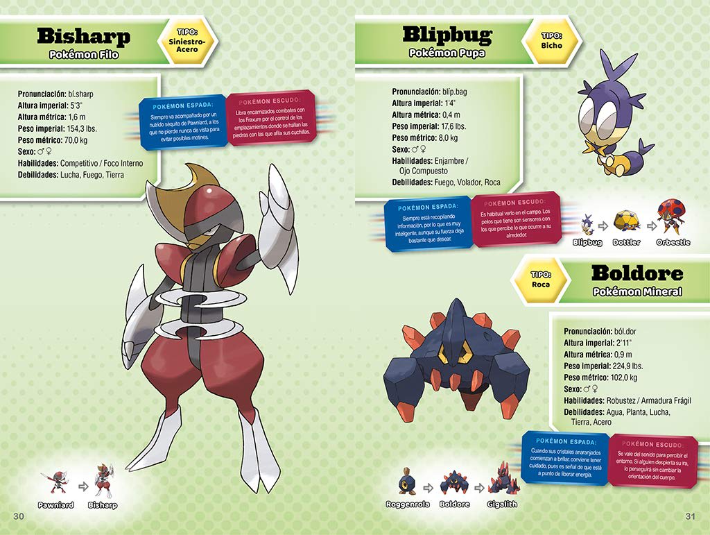 POKEMON. GUIA OFICIAL DE LA REGION GALAR1