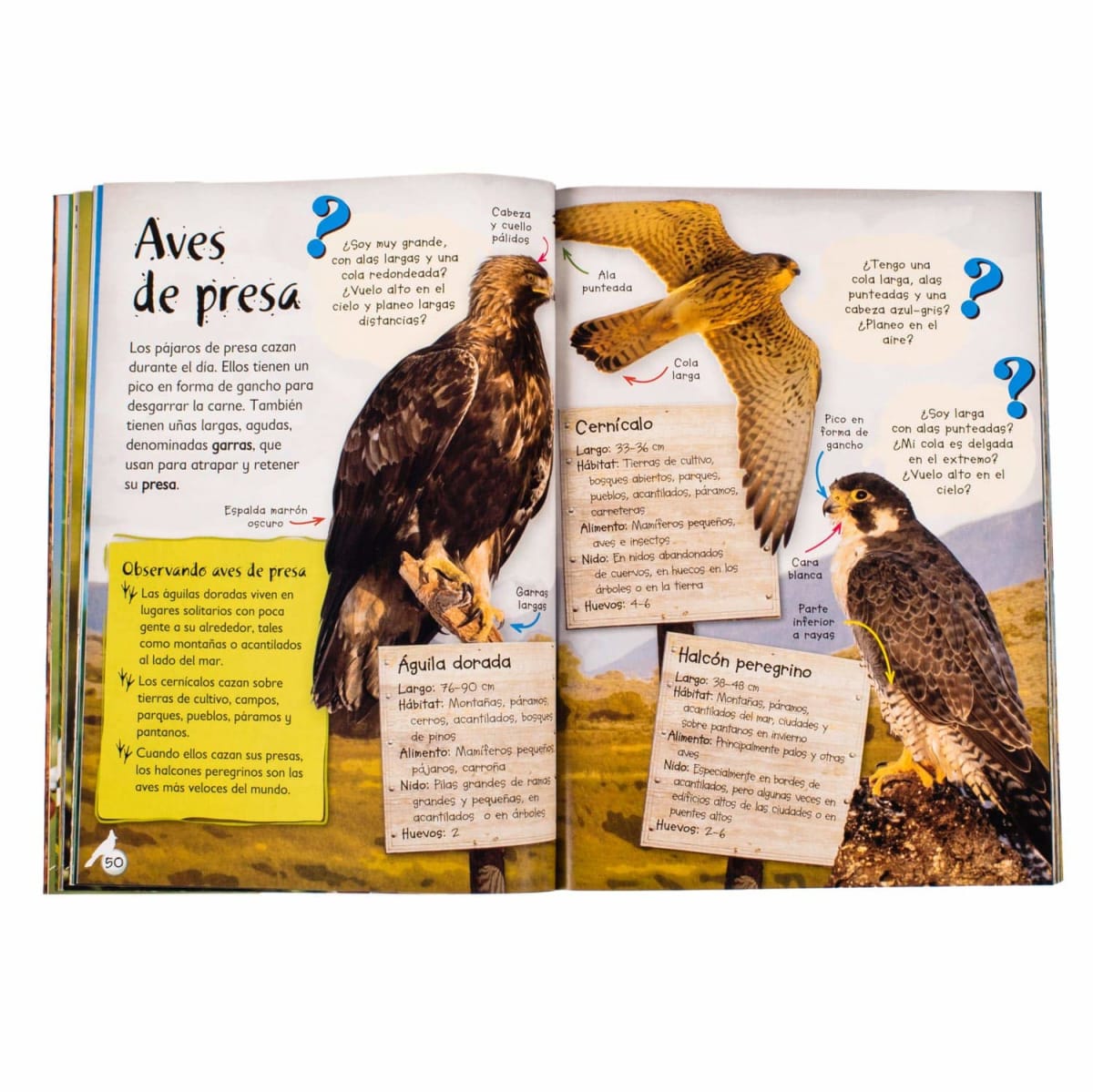 OBSERVA LA VIDA SILVESTRE3