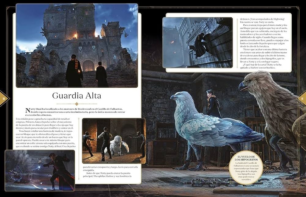 HOGWARTS LEGACY1