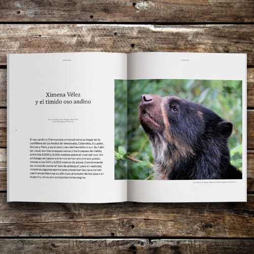 REVISTA ENDEMICO N83