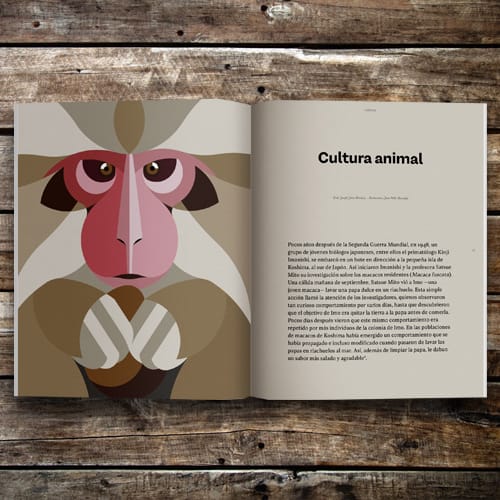 REVISTA ENDEMICO N84