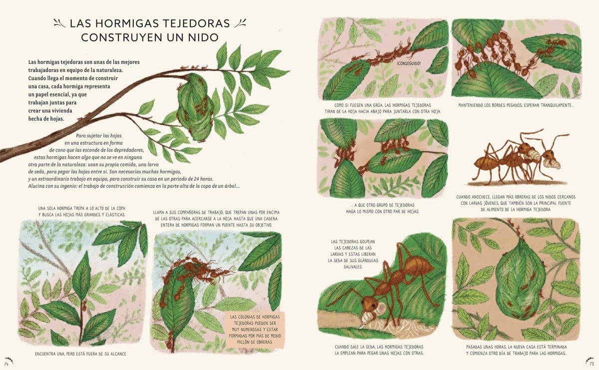 CON CALMA:  50 HISTORIAS  DE LA NATURALEZA3