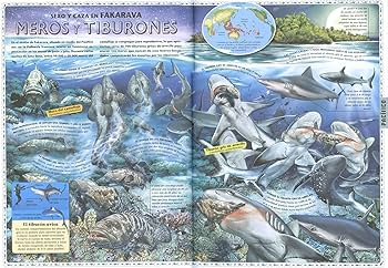 ATLAS DE LOS OCÉANOS. DESCUBRE EL MUNDO MARINO2
