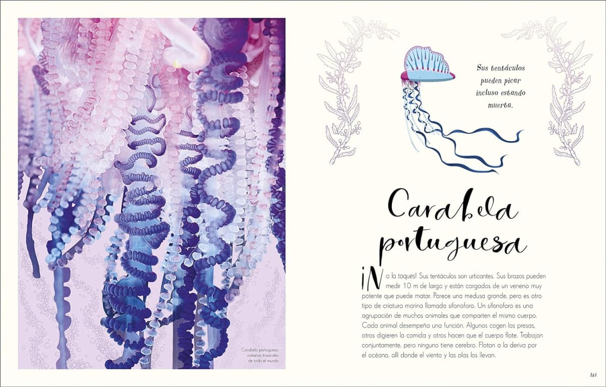 MARAVILLAS NATURALES5