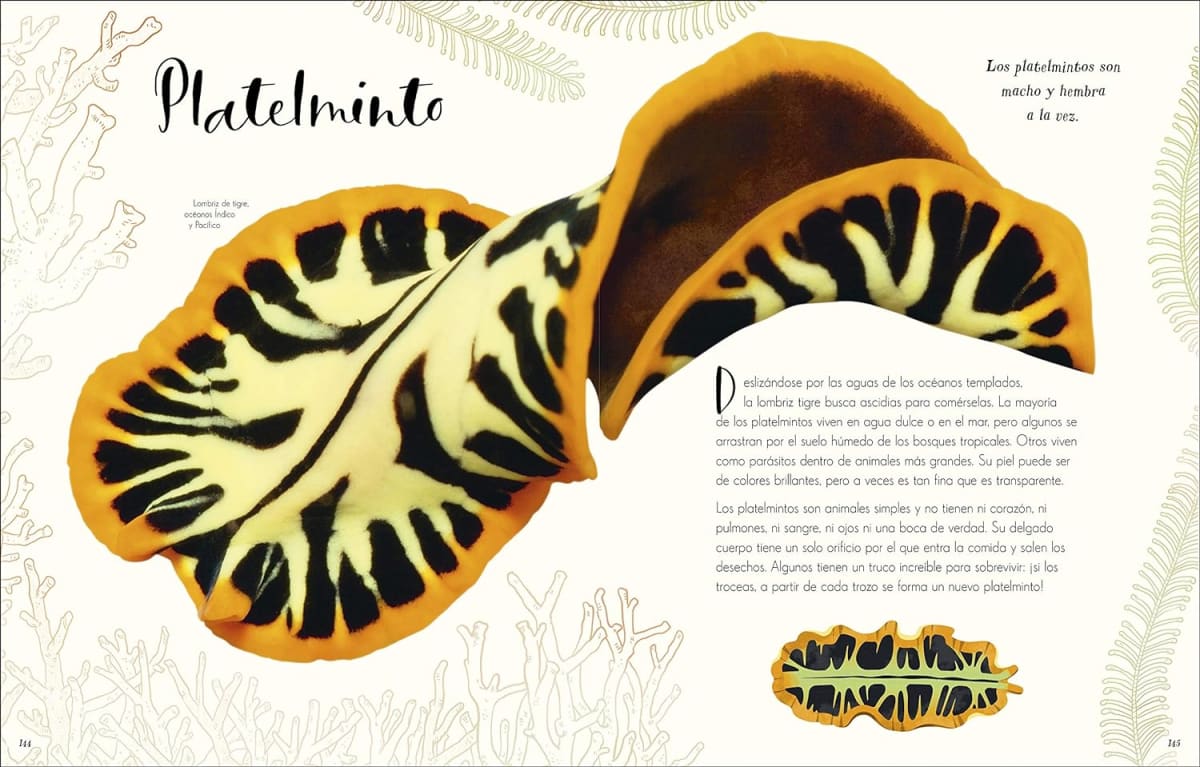 MARAVILLAS NATURALES4