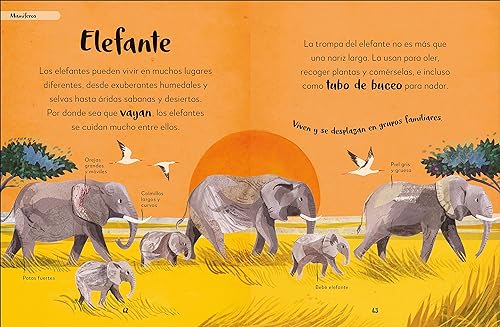 MI  PRIMER LIBRO DE ANIMALES: TODO LO QUE QUIERES SABER SOBRE TUS ANIMALES PREFERIDOS3