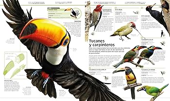 ANIMALES2