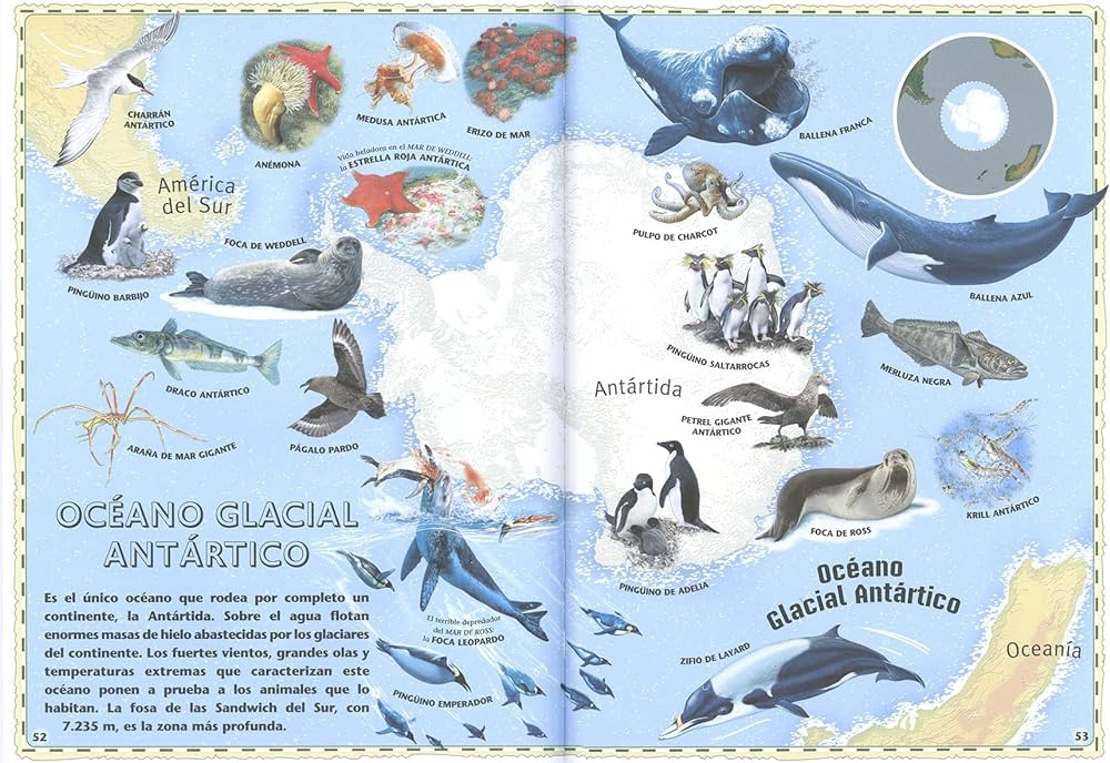 ATLAS DE LOS OCÉANOS. DESCUBRE EL MUNDO MARINO3