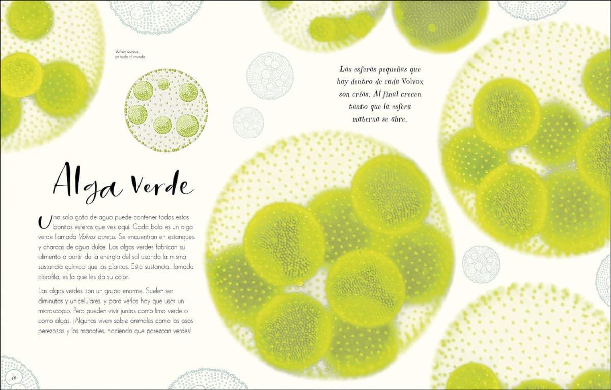 MARAVILLAS NATURALES3