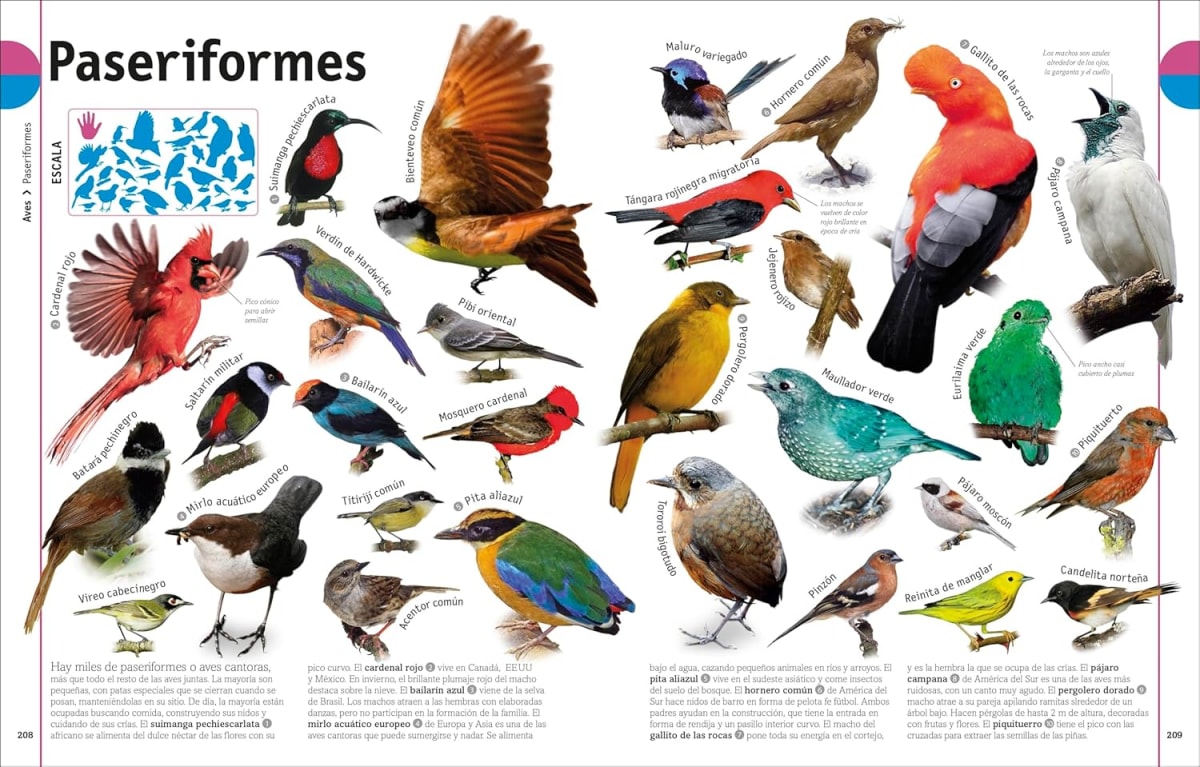 EL LIBRO DE LOS ANIMALES2