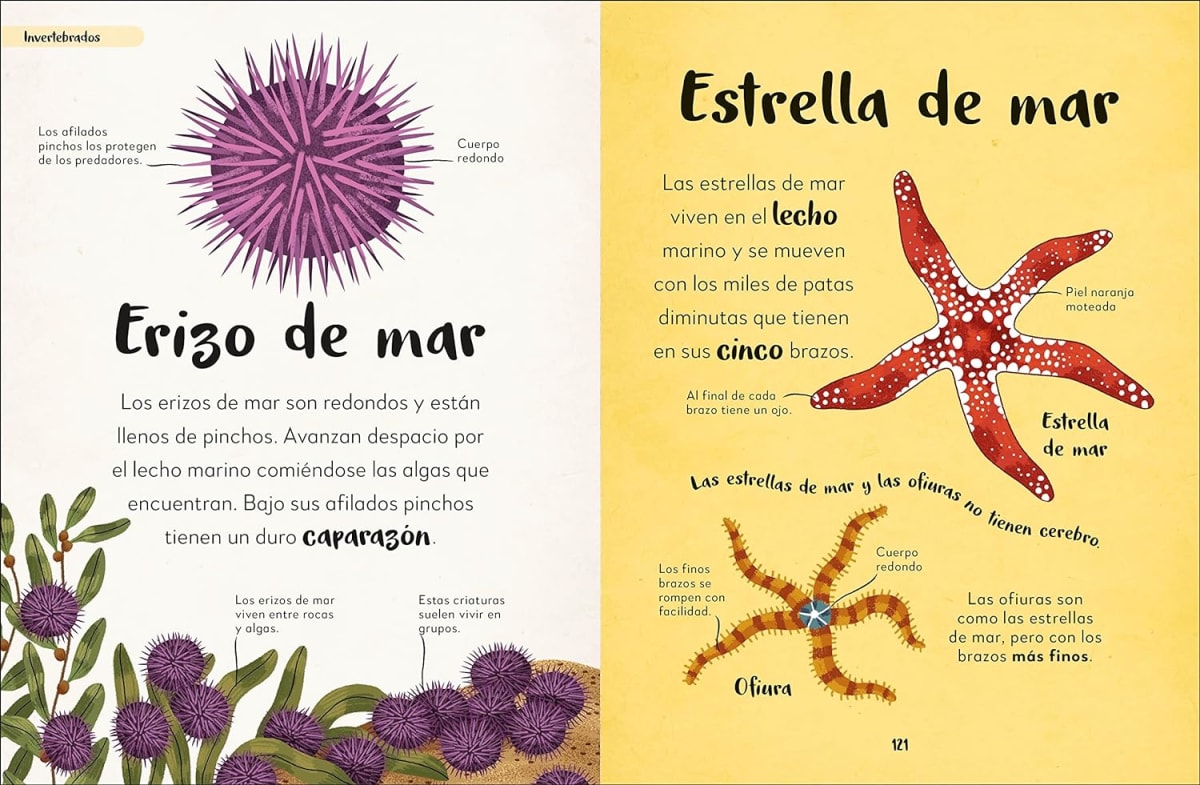 MI  PRIMER LIBRO DE ANIMALES: TODO LO QUE QUIERES SABER SOBRE TUS ANIMALES PREFERIDOS6