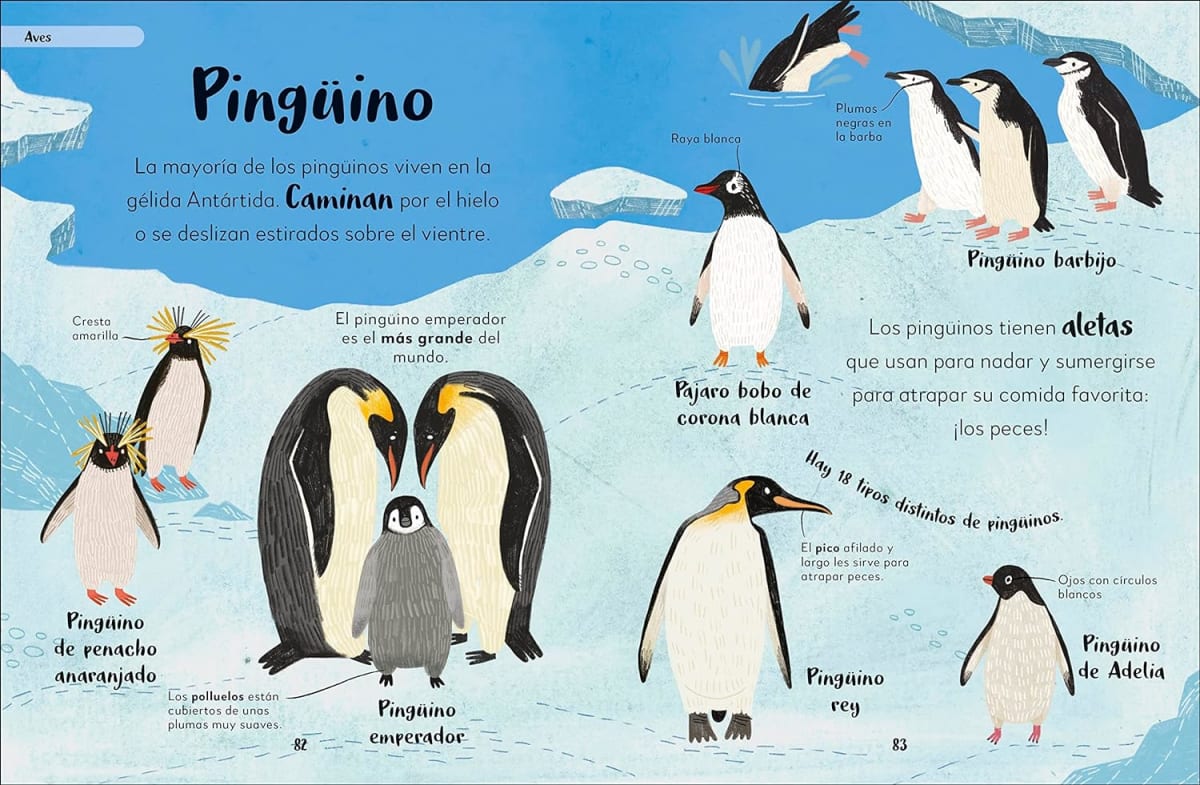 MI  PRIMER LIBRO DE ANIMALES: TODO LO QUE QUIERES SABER SOBRE TUS ANIMALES PREFERIDOS4