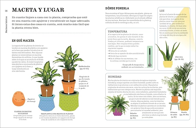 CÓMO NO MATAR TUS PLANTAS3
