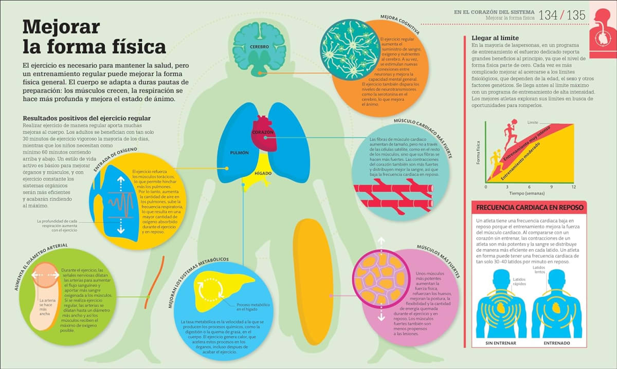 CÓMO FUNCIONA EL CUERPO HUMANO. GUÍA GRÁFICA DE NUESTRO ORGANISMO5