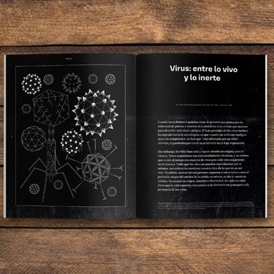 REVISTA ENDEMICO N93