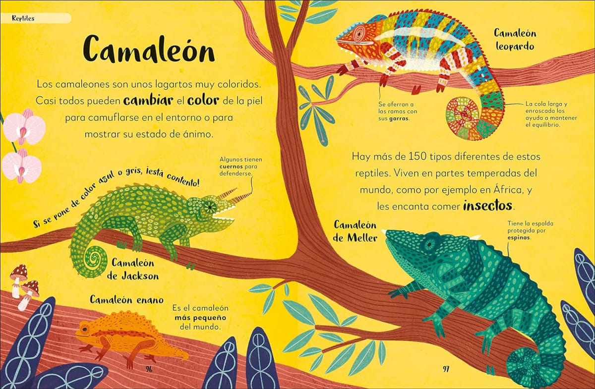 MI  PRIMER LIBRO DE ANIMALES: TODO LO QUE QUIERES SABER SOBRE TUS ANIMALES PREFERIDOS5