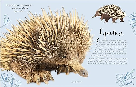 MARAVILLAS NATURALES7