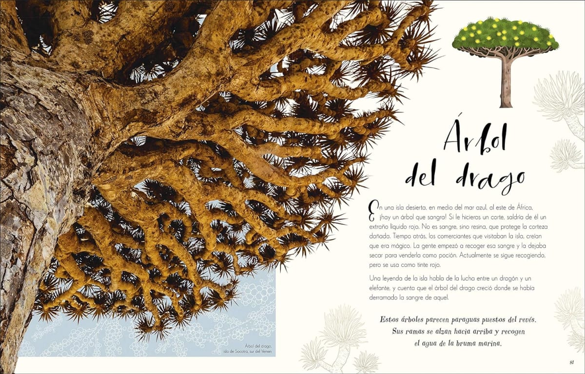 MARAVILLAS NATURALES1
