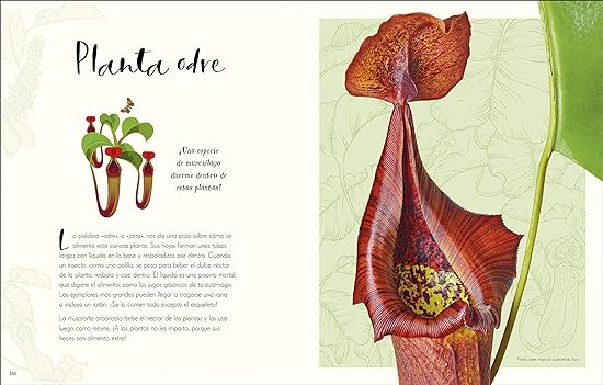 MARAVILLAS NATURALES6