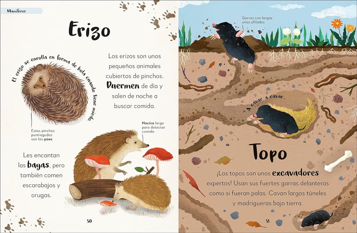 MI  PRIMER LIBRO DE ANIMALES: TODO LO QUE QUIERES SABER SOBRE TUS ANIMALES PREFERIDOS2